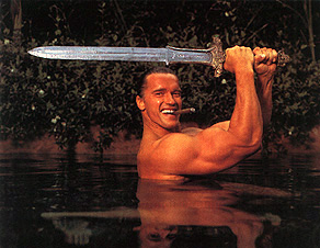 schaffte den Durchbruch als Filmstar mit "Conan der Barbar". Dies war der Beginn der großen Fitnesswelle in den 80er Jahren, die bis heute andauert.
